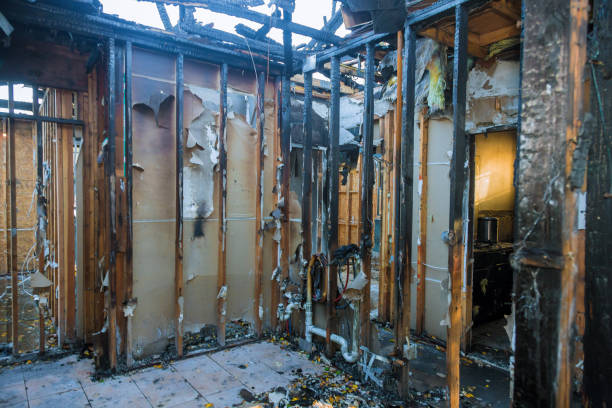 Professional Smoke Damage Removal technician working in Tularosa, NM